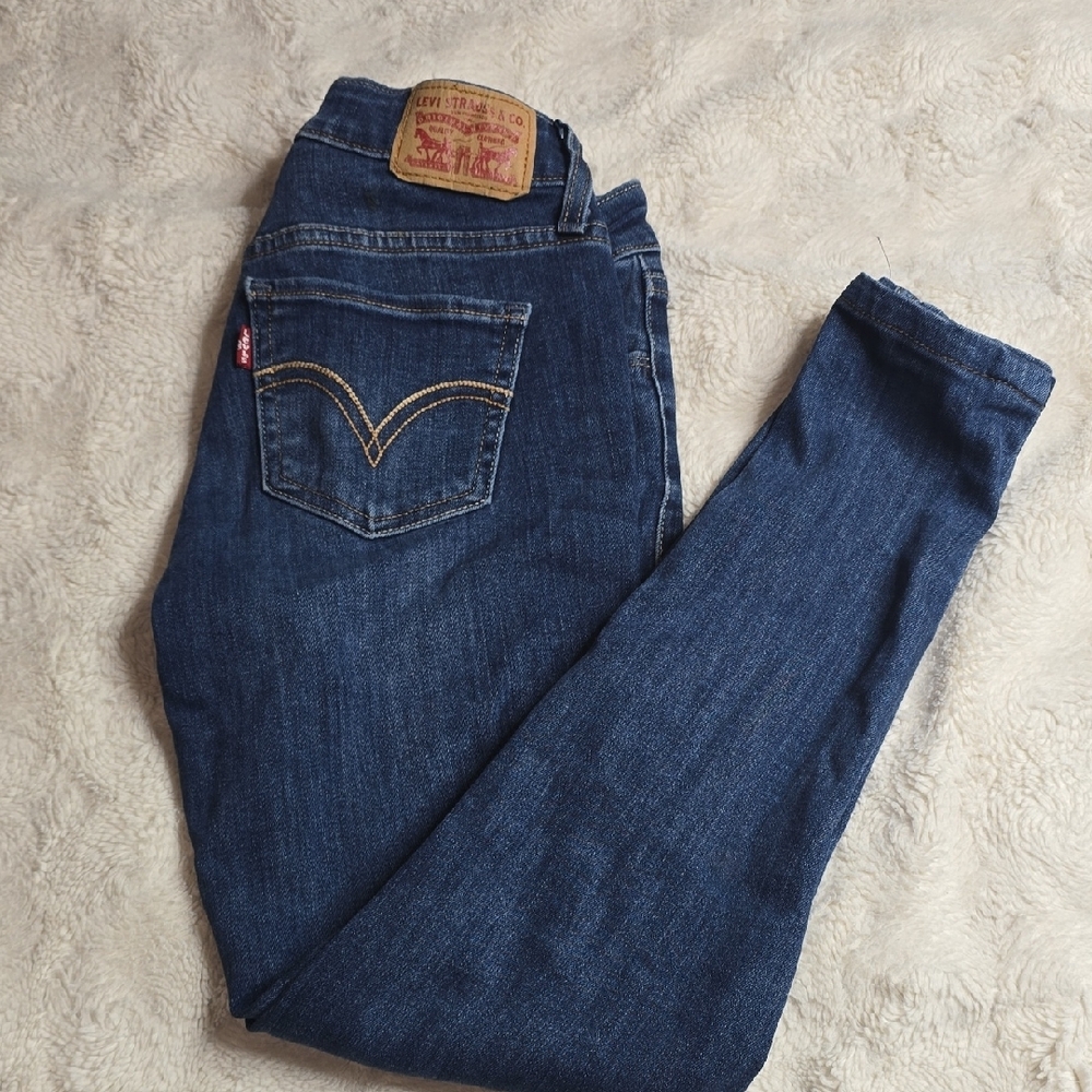 Levi's Blue Skinny Jeans Classic Fit